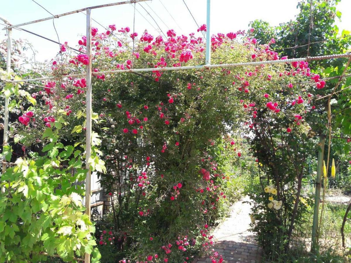 בית הארחה סנז'ייקה 	Sea house מראה חיצוני תמונה